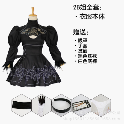 2B Cosplay (&Peruk) - Shadora