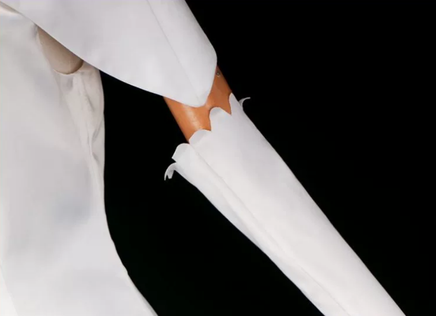 Emilia Cosplay (&Peruk) - Re: Zero