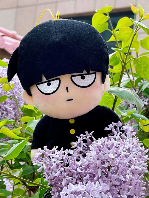 Kageyama Shigeo & Reigen Arataka Peluşlar